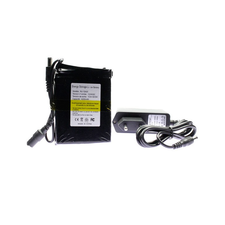 4200mAh 12 volts mini rechargeable battery